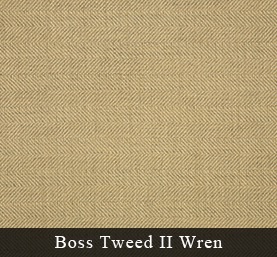 Boss_Tweed_2_Wren.jpg