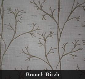 Branch_Birch.jpg