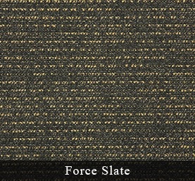 Force_Slate.jpg