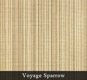 Voyage_Sparrow.jpg